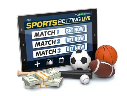 355 bet app 