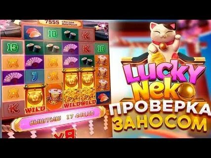 65x com bet 