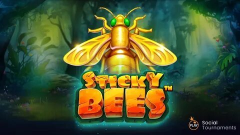esportivas online esportes da sorte 